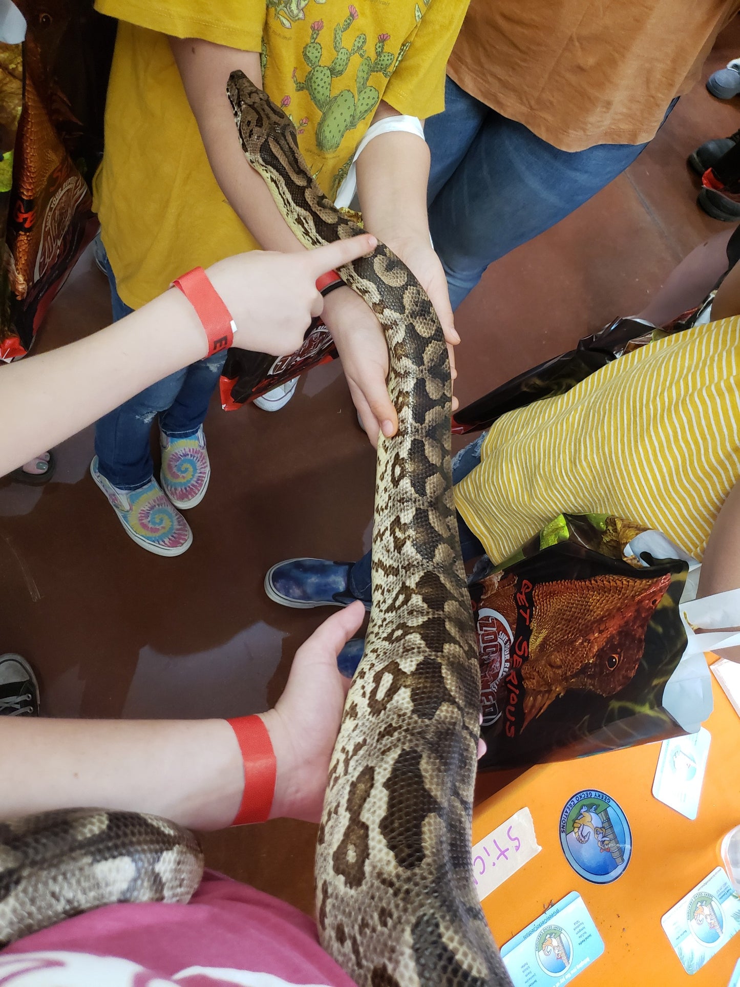 Reptile Parties & Events - Arizona