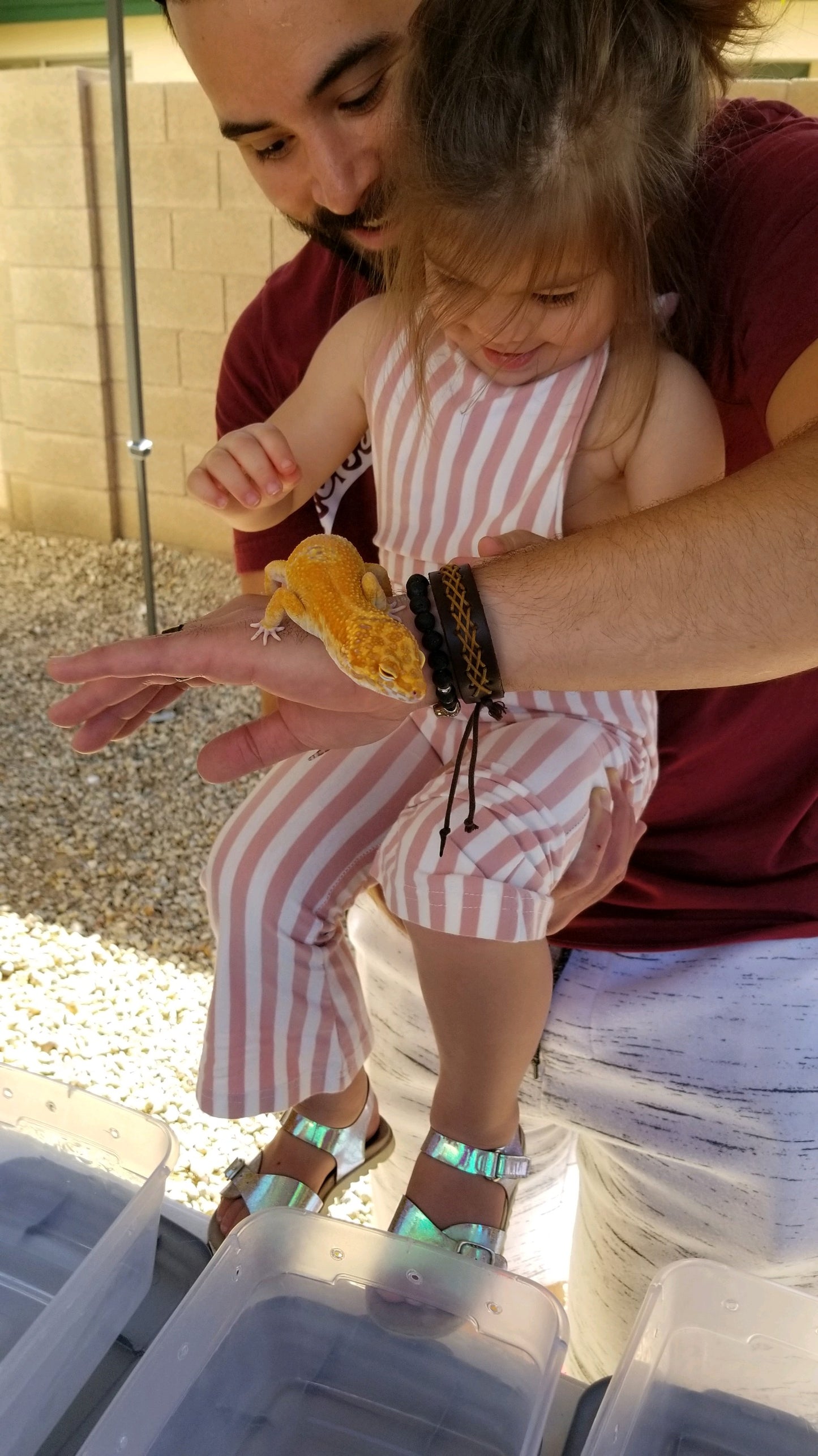 Reptile Parties & Events - Arizona