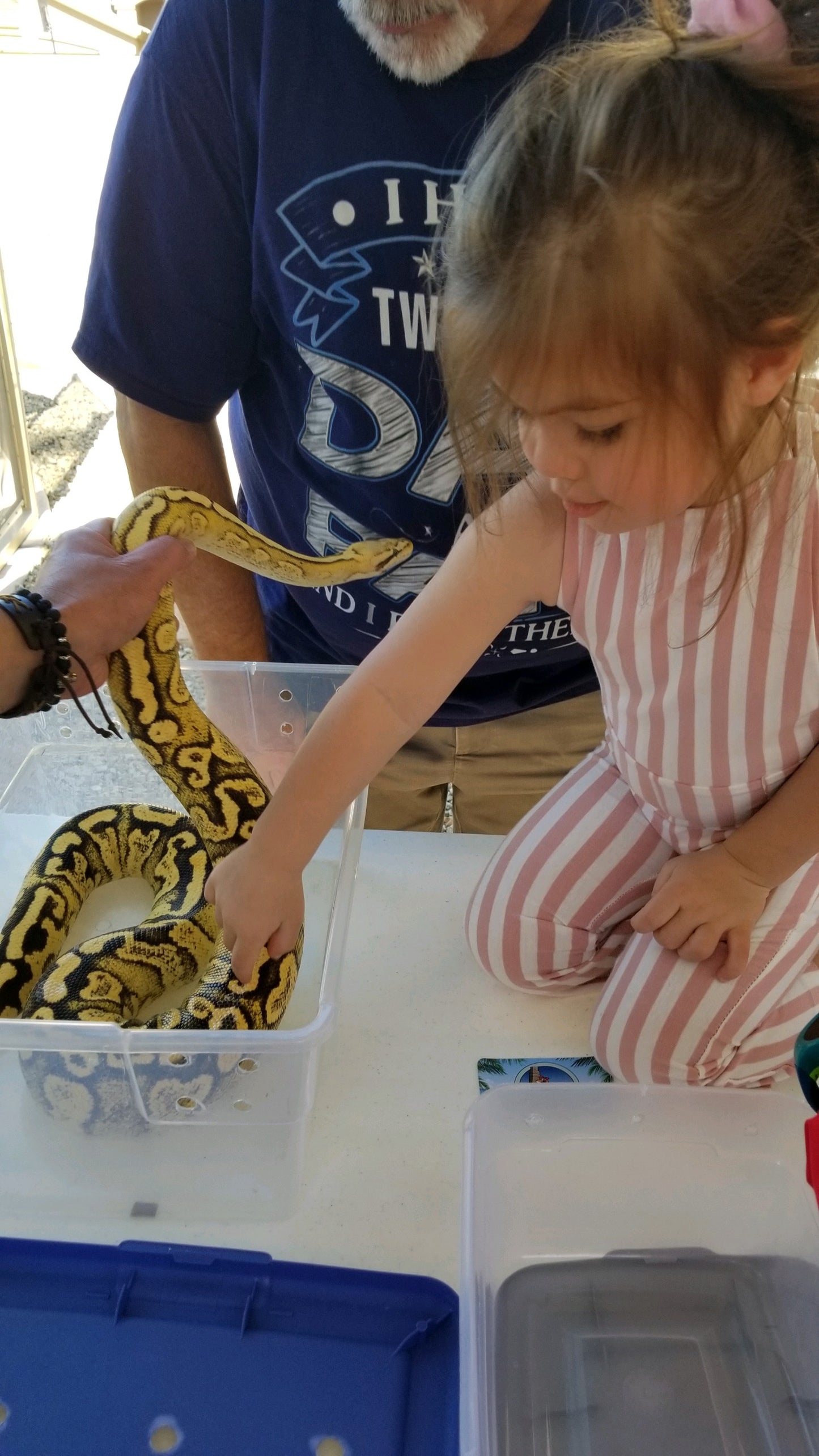 Reptile Parties & Events - Arizona