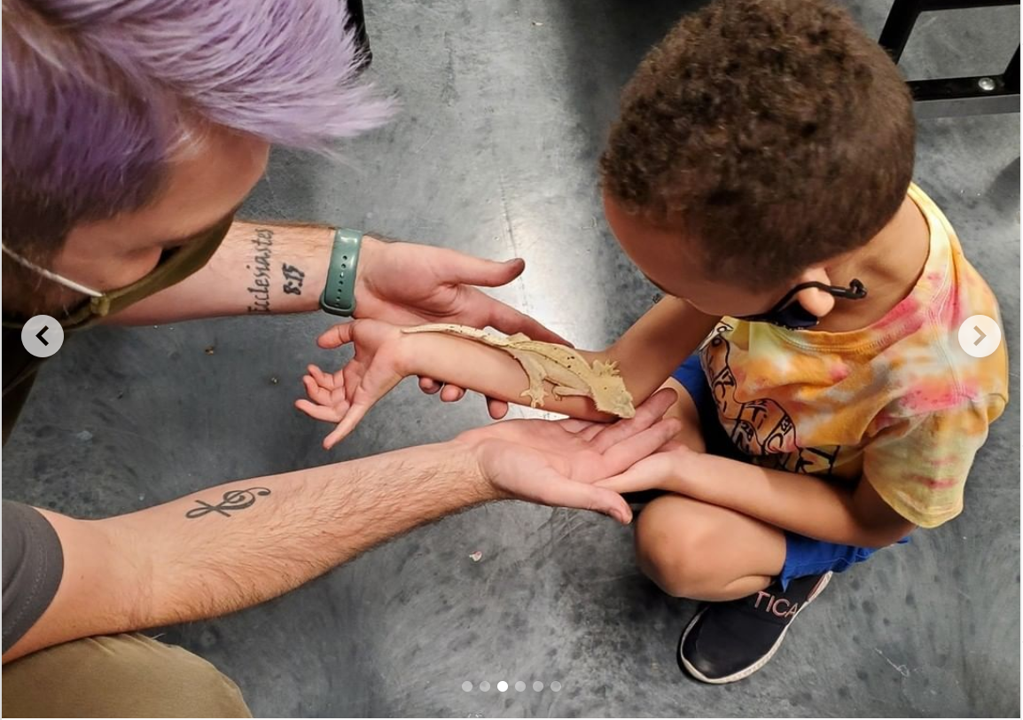 Reptile Parties & Events - Arizona