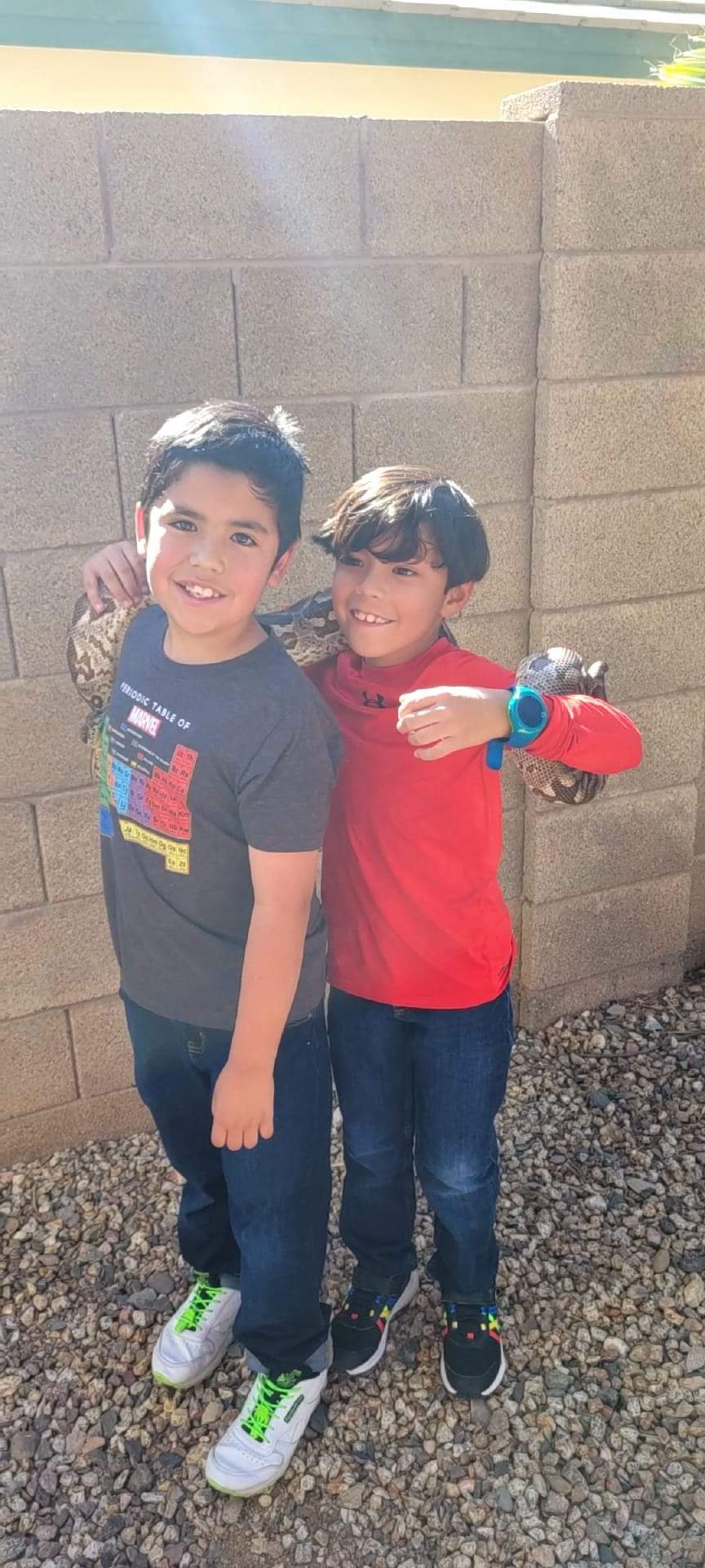 Reptile Parties & Events - Arizona