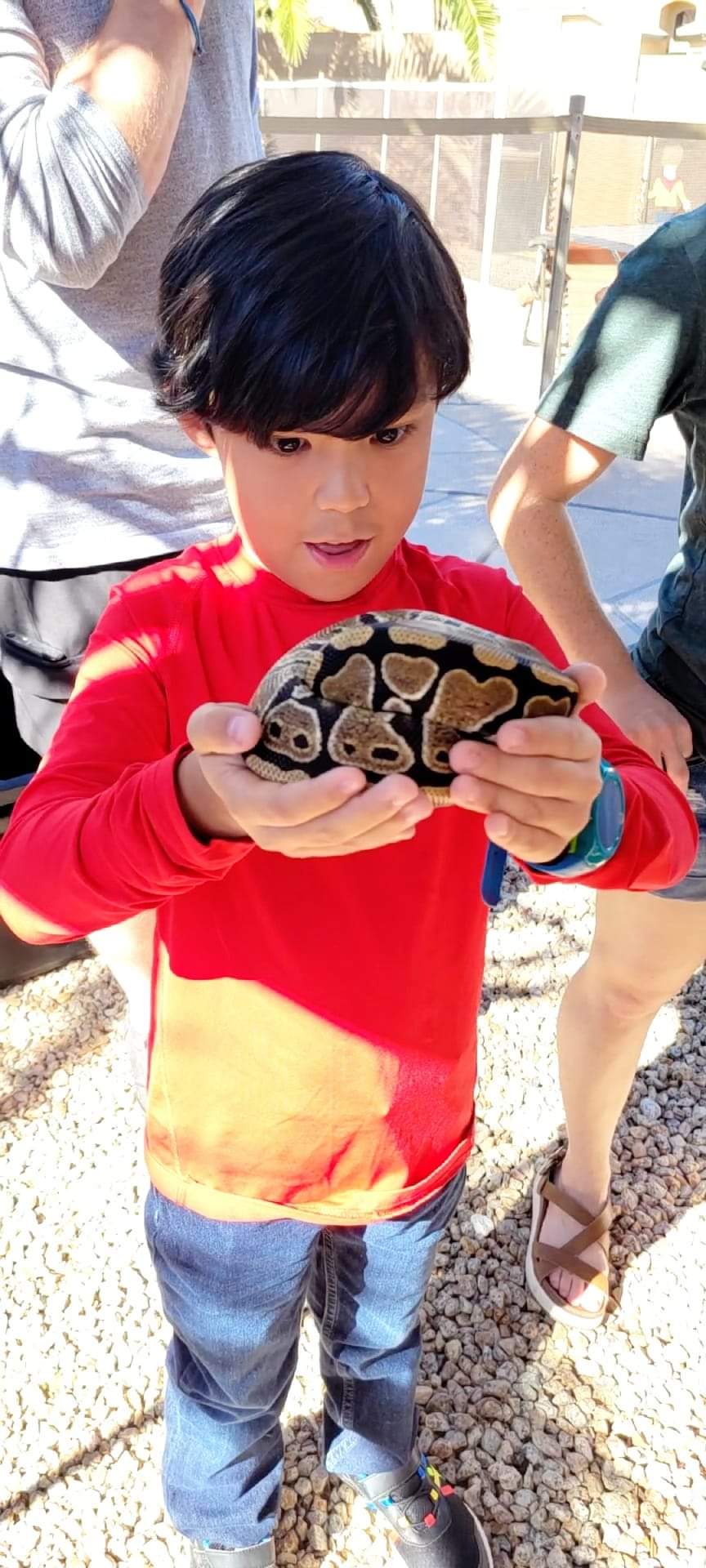 Reptile Parties & Events - Arizona