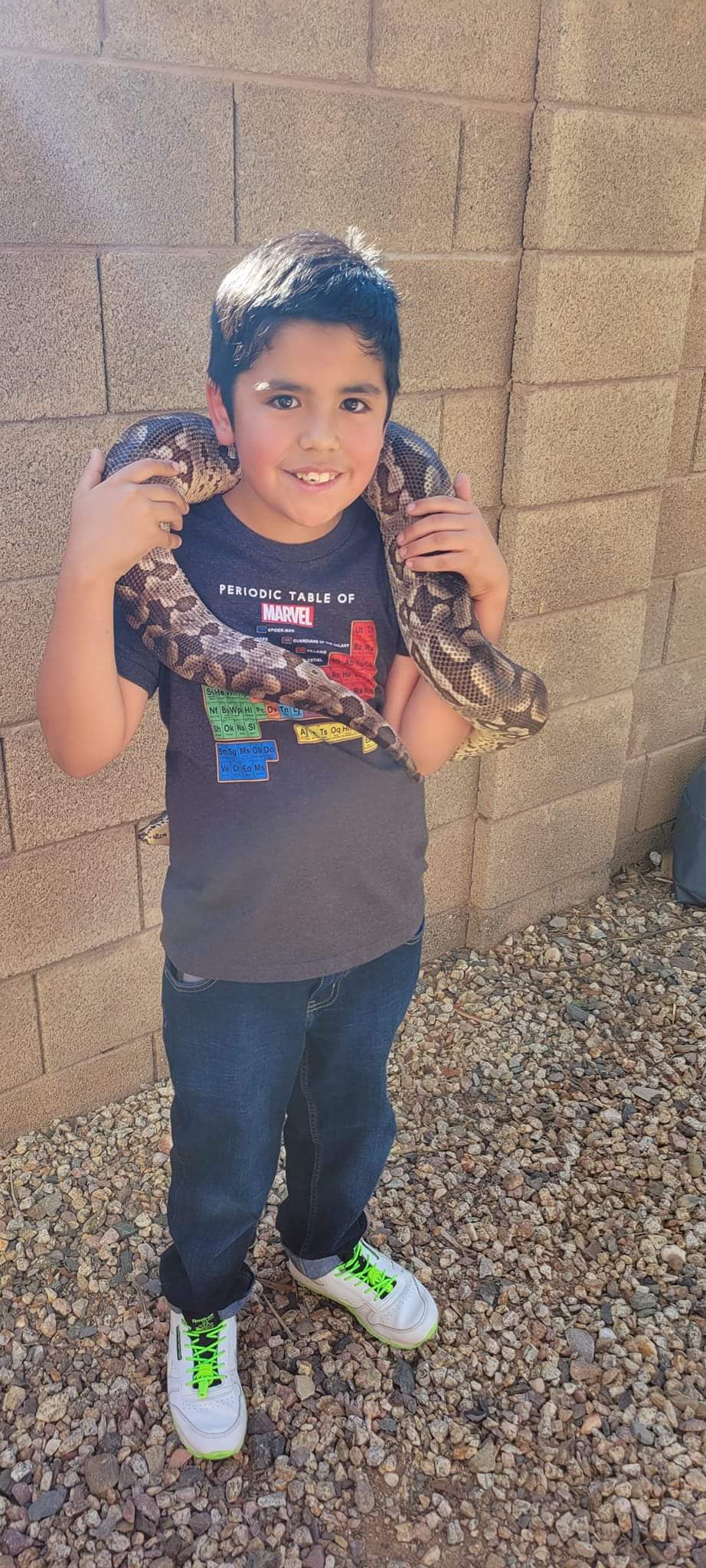 Reptile Parties & Events - Arizona