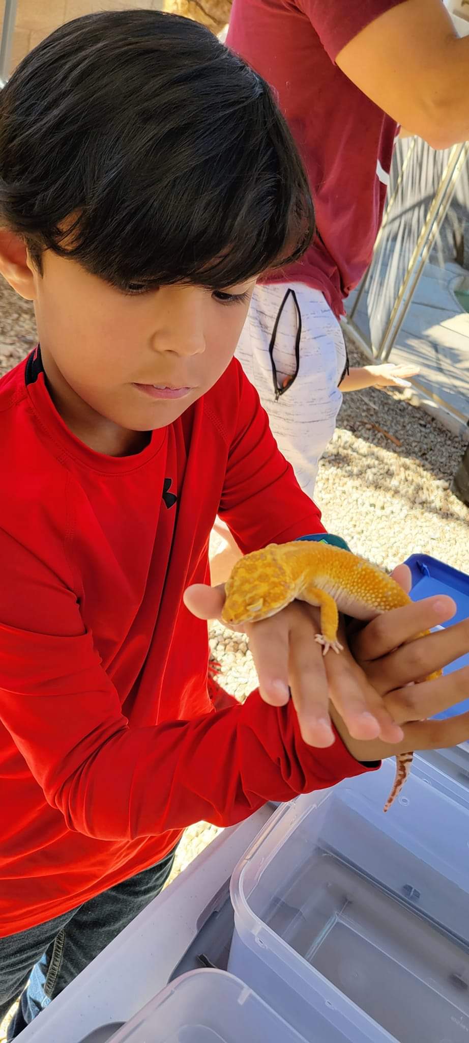 Reptile Parties & Events - Arizona