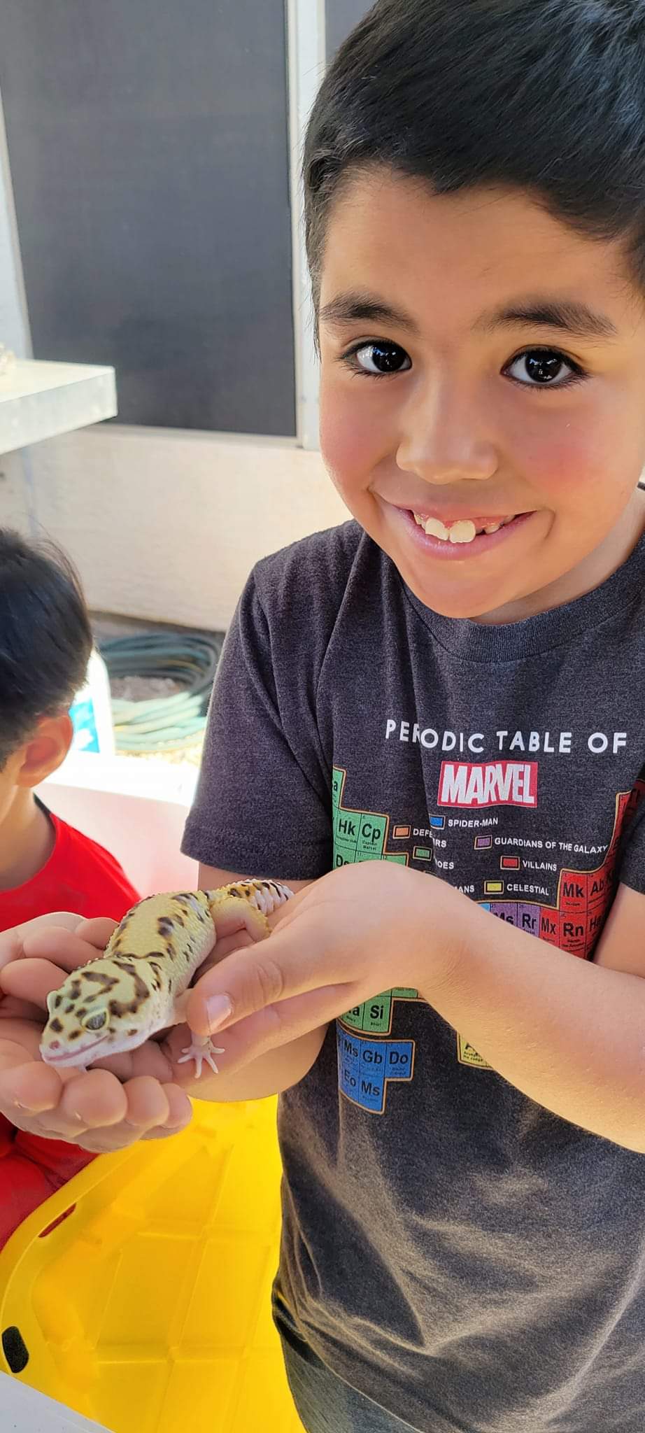 Reptile Parties & Events - Arizona