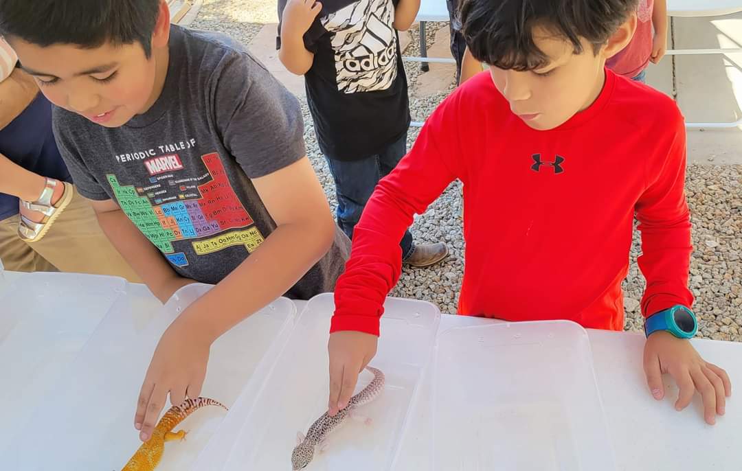 Reptile Parties & Events - Arizona