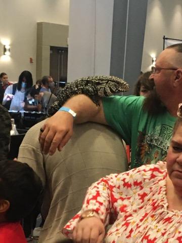 Reptile Parties & Events - Arizona