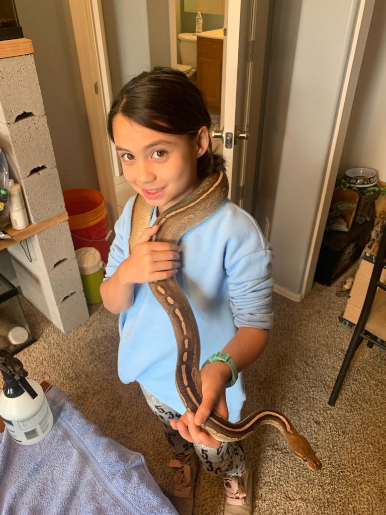 Reptile Parties & Events - Arizona