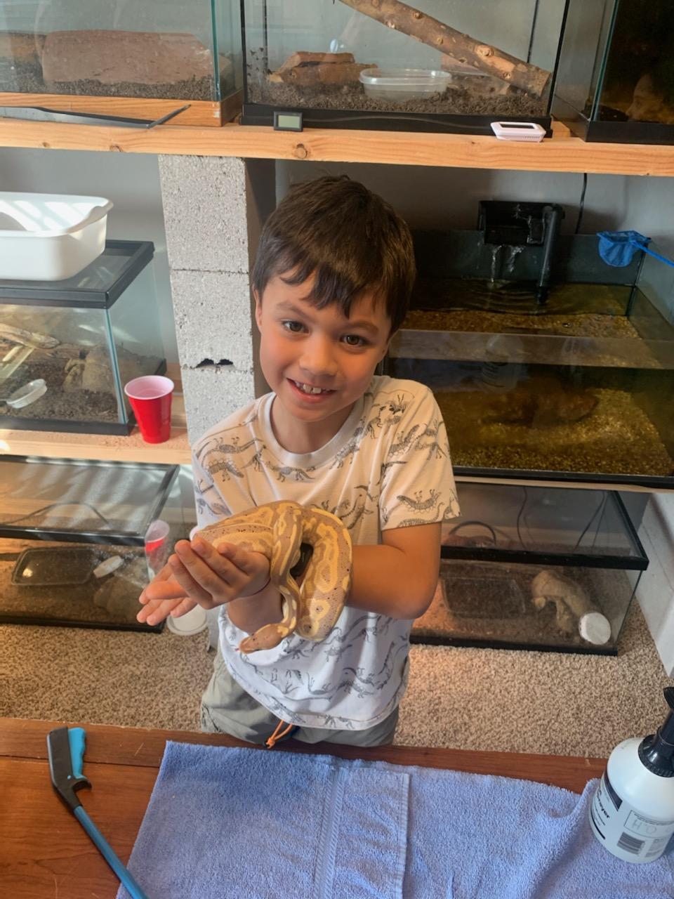 Reptile Parties & Events - Arizona