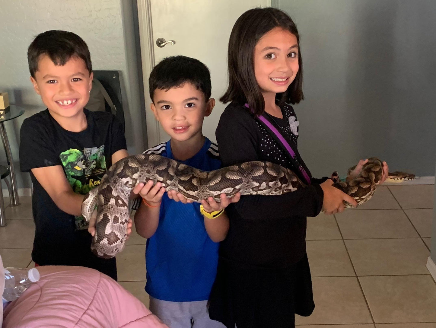 Reptile Parties & Events - Arizona
