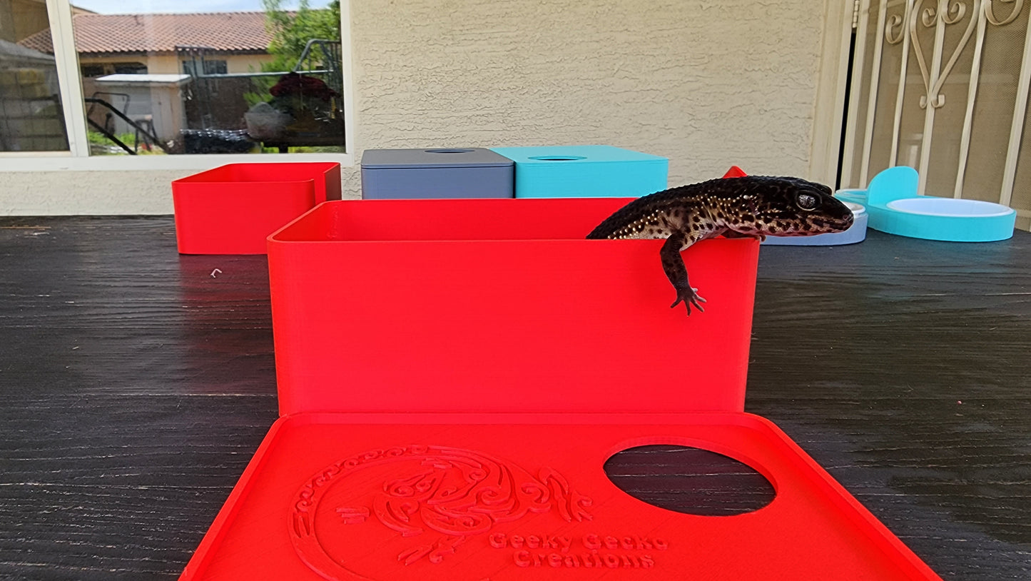 Strawberry Red Leopard Gecko humid hide, dry hide, food bowl, calcium, & water dish combo