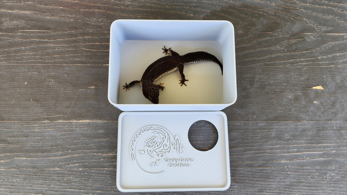 Ash Grey Leopard Gecko humid hide, dry hide, food bowl, calcium, & water dish combo