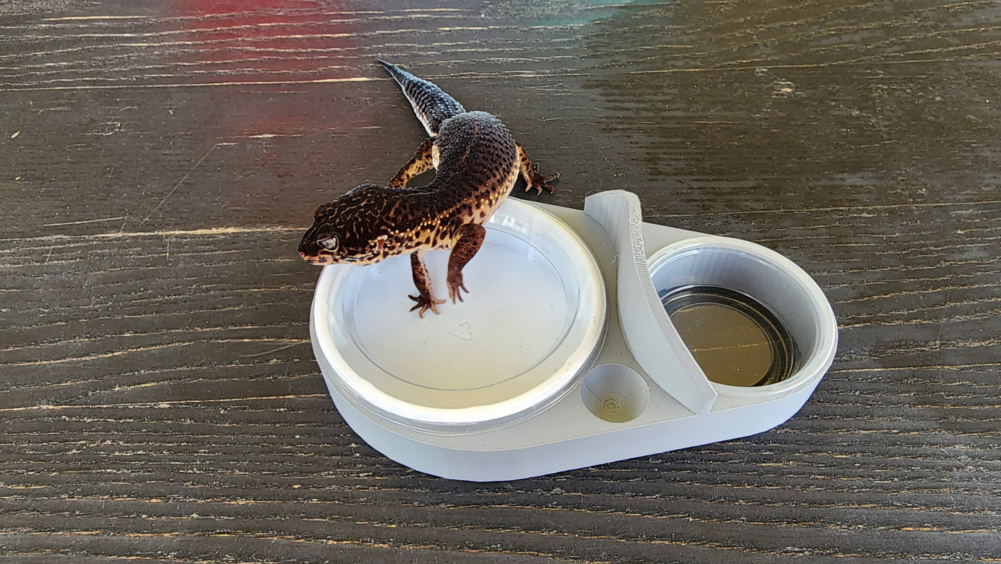 Ash Grey Leopard Gecko food bowl, calcium dish, & water dish