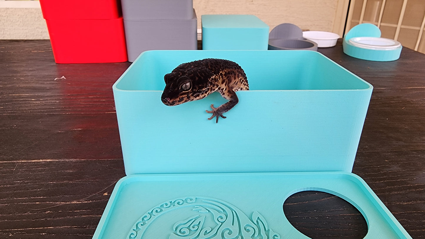 Sky Blue Leopard Gecko humid hide, dry hide, food bowl, calcium, & water dish combo