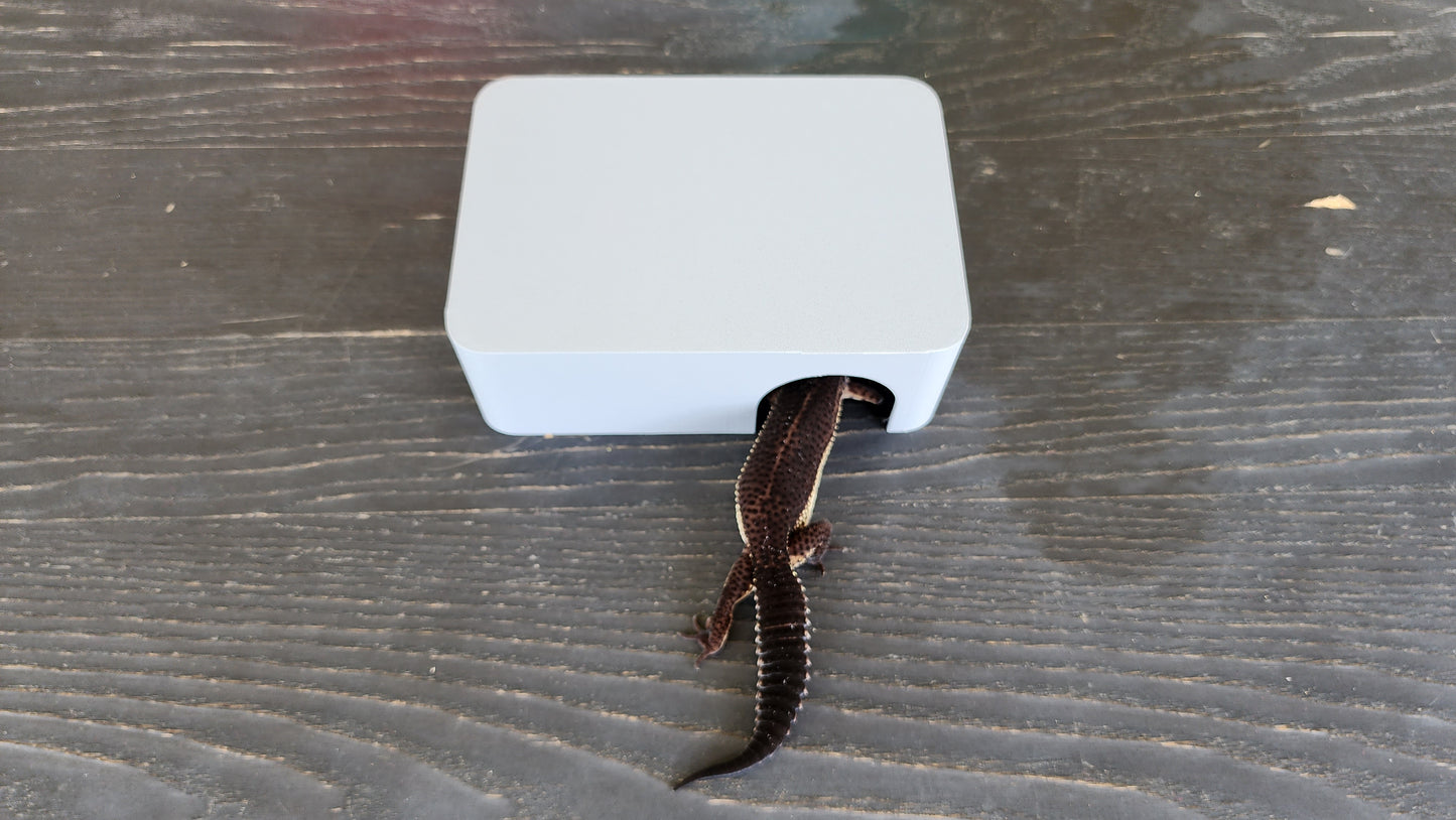 Ash Grey Leopard Gecko humid hide, dry hide, food bowl, calcium, & water dish combo