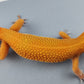 Female Super Hypo Mandarin Inferno Tangerine Carrot Tail Leopard Gecko (Slight Tail Misshape)