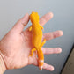 Female Super Hypo Mandarin Inferno Tremper Albino Extreme Carrot Tail Leopard Gecko (Interesting White Pigment On Head)
