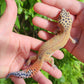 Mandarin Clown Male Leopard Gecko