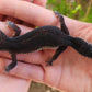 Female Black Night Poss Mack Snow Leopard Gecko