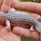FREEZE Fasciolatus Super Snow Eclipse Male Leopard Gecko
