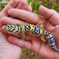 Afghanicus Bold Hyper Xanthic (Emoji Face)