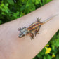 Red/Orange Stripe Gargoyle Gecko