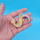 Fire Bold Tremper Albino High Contrast Bandit Possible Mack Snow (looking male)