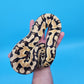 Male Pastel Puzzle (570g)