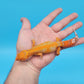 Female Mandarin Inferno Tangerine Red Stripe Tremper Albino Leopard Gecko