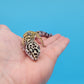 Male Afghanicus Bold Cross Hyper Xanthic Pos White & Yellow Leopard Gecko (Running Man Head Stamp)