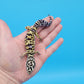 Male Afghanicus Bold Cross Hyper Xanthic Pos White & Yellow Leopard Gecko (Running Man Head Stamp)