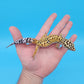 Male Inferno Tangerine Bold Cross Emerine Leopard Gecko