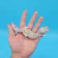 Male Pure Fasciolatus (High Lavender Reduced Pattern Phase) Leopard Gecko