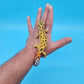 Male Inferno Tangerine Bold Emerine Possible White and Yellow Leopard Gecko (interesting look!)