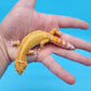 Male Inferno Tangerine Bold Tremper Albino White & Yellow Leopard Gecko