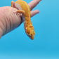 Male Inferno Tangerine Bold Tremper Albino White & Yellow Leopard Gecko