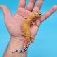Male Mandarin Inferno Tangerine Bold Emerine Leopard Gecko