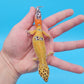 Male Mandarin Inferno Tangerine 100% Het Tremper Albino Leopard Gecko