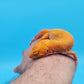 Male Mandarin Inferno Tangerine Tremper Albino Red Stripe Leopard Gecko