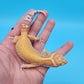 Mandarin Inferno Tangerine Bold Red Stripe Tremper Albino Leopard Gecko