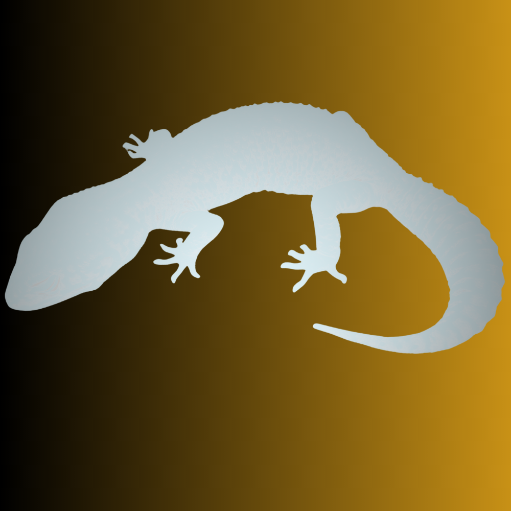 MYSTERY Leopard Gecko [TIER 5]
