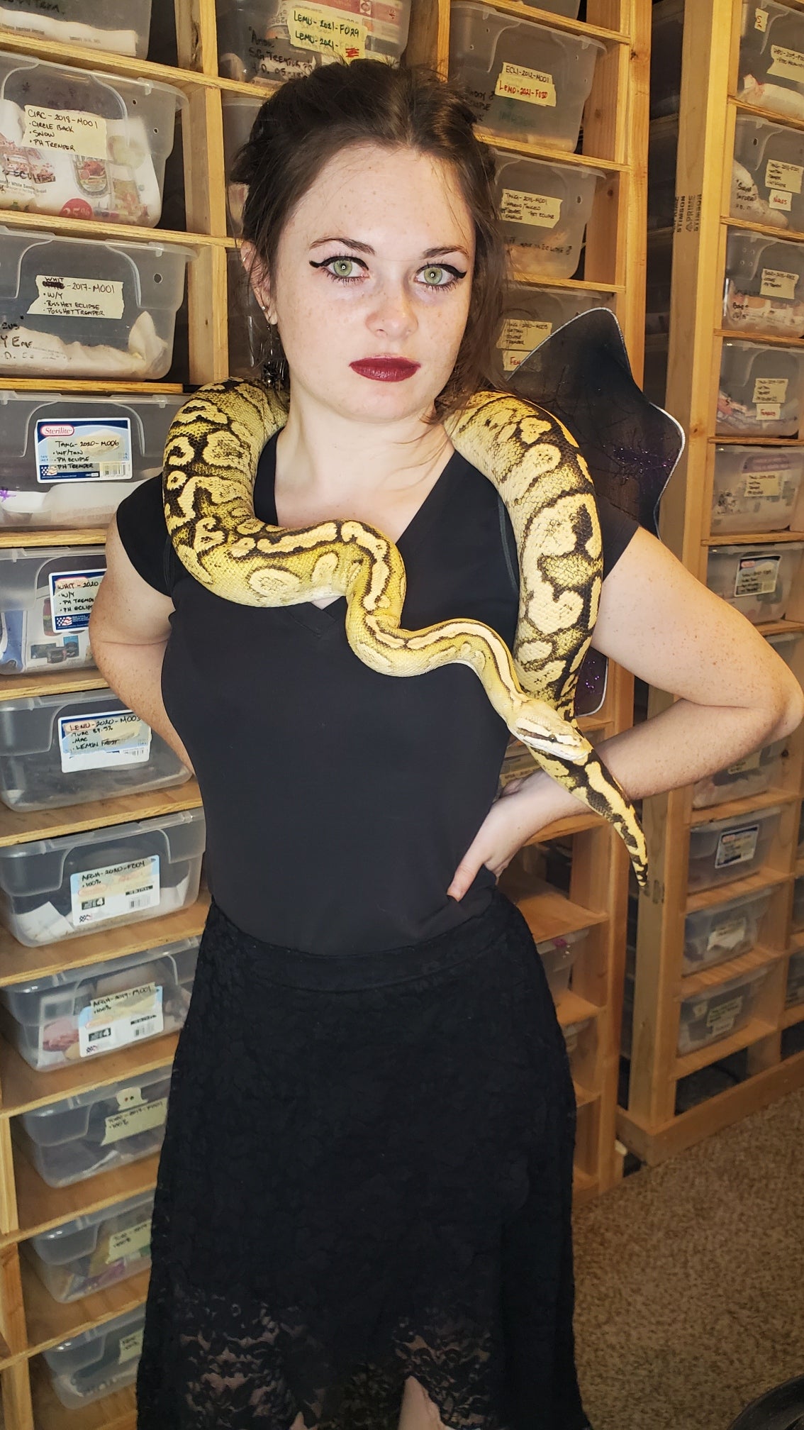 Reptile Parties & Events - Arizona