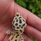 Hyper Xanthic Bold Bandit Emerine poss WY ph RAPTOR