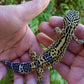 Female Pure Black Night Leopard Gecko (Low Black)