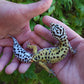 Female Hyper Xanthic Bold Emerine Halloween Mask Leopard Gecko