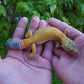 Female Blood Bold Emerine Cross Leopard Gecko