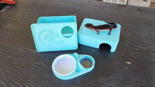 Sky Blue Leopard Gecko humid hide, dry hide, food bowl, calcium, & water dish combo