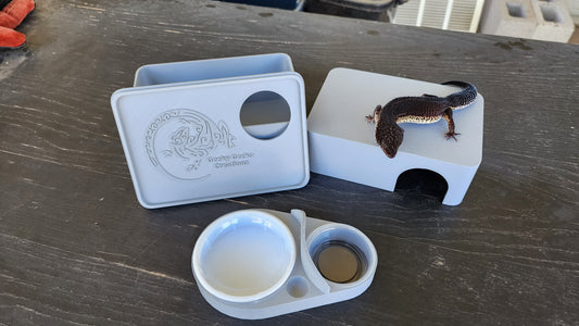 Ash Grey Leopard Gecko humid hide, dry hide, food bowl, calcium, & water dish combo