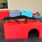 Strawberry Red Leopard Gecko dry hide