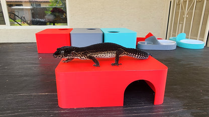 Strawberry Red Leopard Gecko humid hide, dry hide, food bowl, calcium, & water dish combo